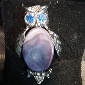 Elegant Silver and Purple Owl Brooch